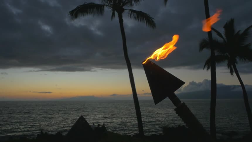 A torch burning by a palm tree on the beach