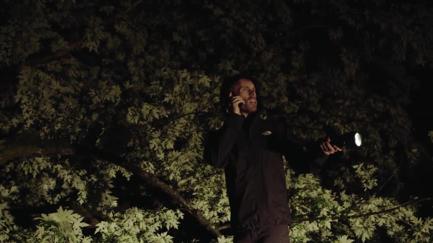 A man searches around the trees with a flashlight