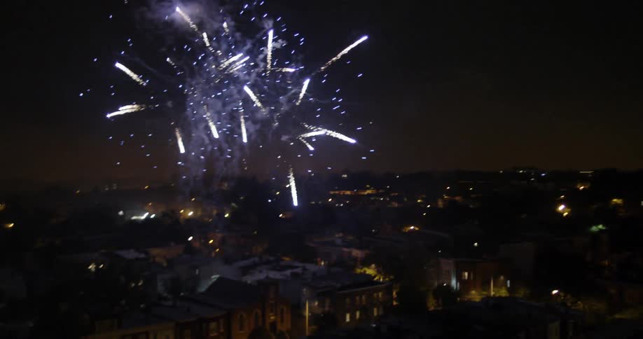 Fireworks explode into the night sky