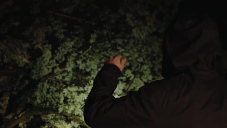 A man searches outside at night with a flashlight