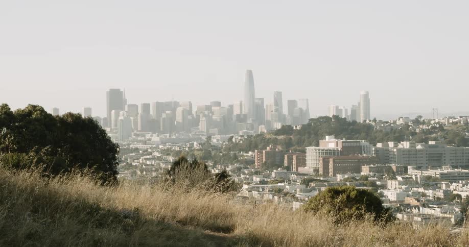 Woman and dog on hill near city