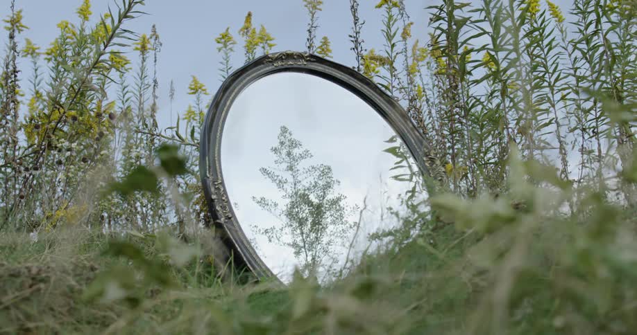 Round mirror sits in the grassy field