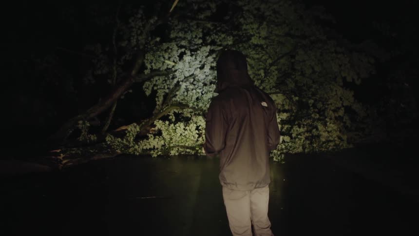 Person shines a flashlight at a tree and night and talks on a phone