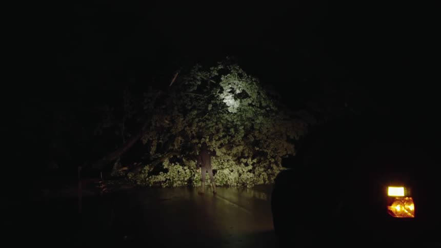 Man shines a flashlight on a fallen tree in the rain at night