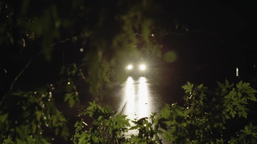Car driving a night near trees