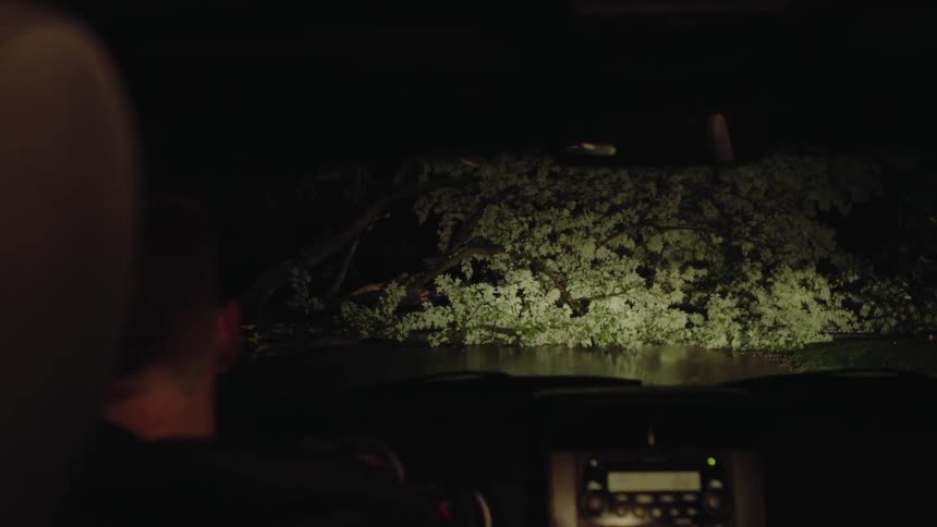 A car near a body of water at night