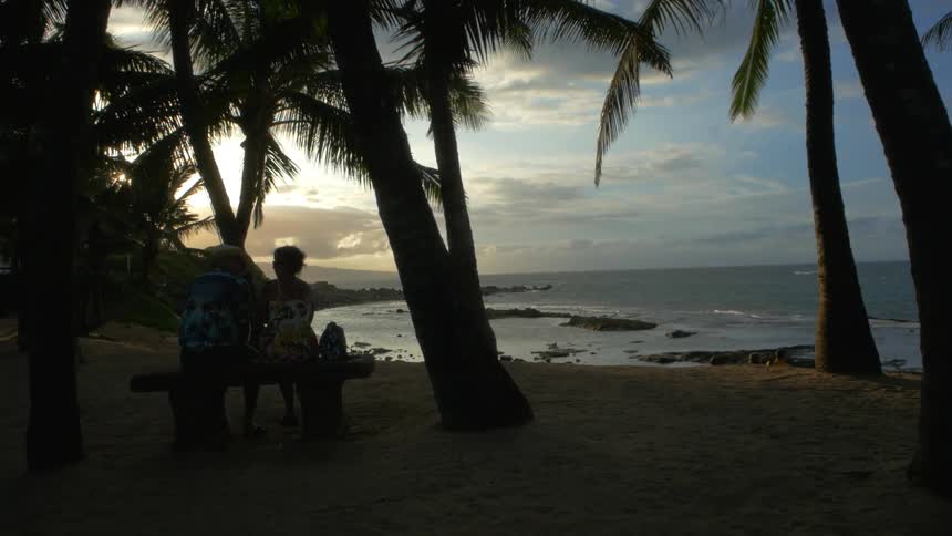 A man and woman sit on a bench watching the sunset in a tropical setting