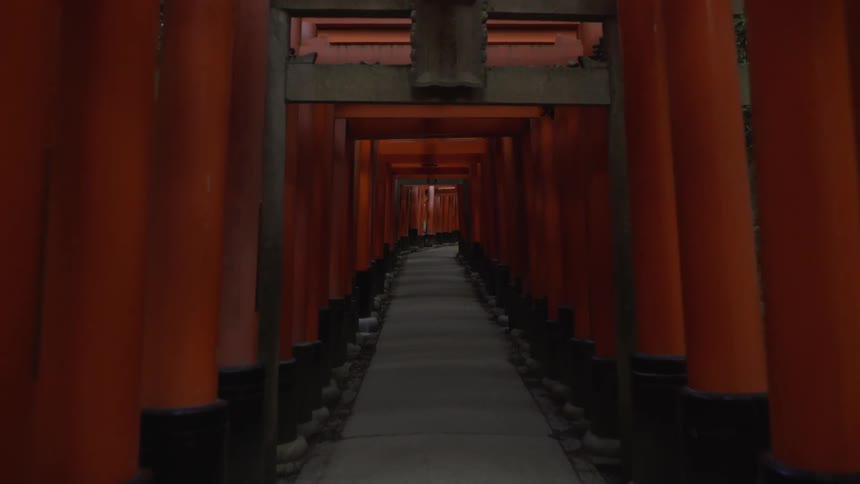 Traveling through a tunnel of torii gates at Inari shrine during the day