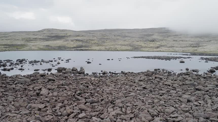 Rocks cover the ground near the pond