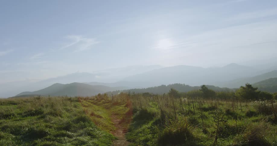 The tall grass leads to a mountain in the fog ahead