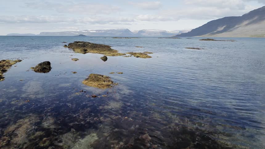 The water is clear near the shore