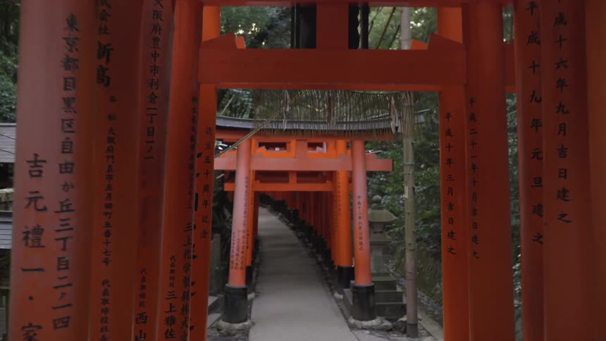 Walking down the path under the carved torii gates of Japan