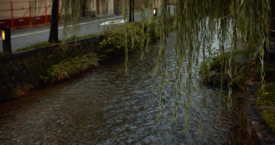 Water flows in the stream next to the road