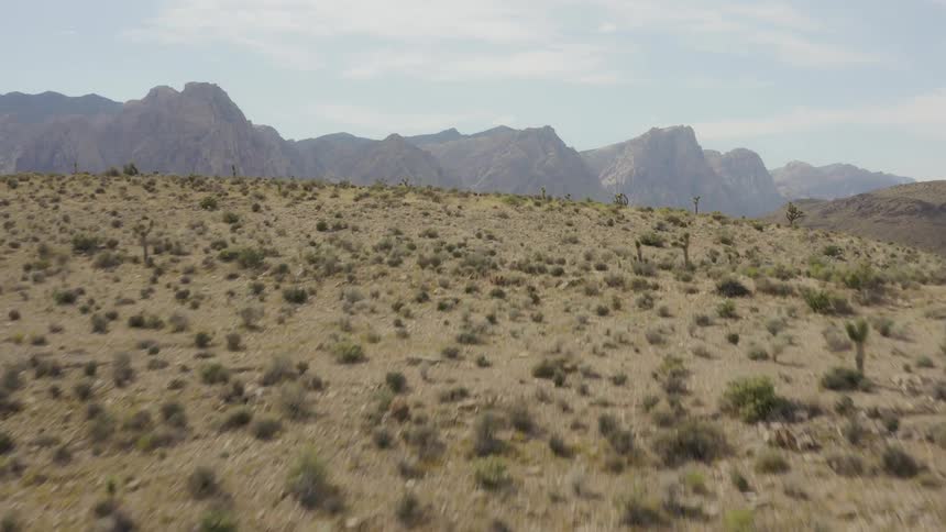 Brush covered hilly land near mountains