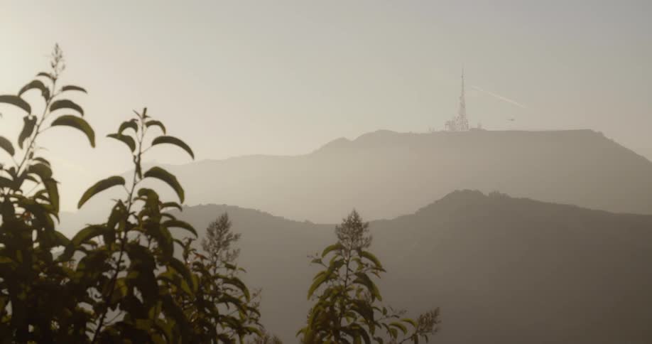 Weeds wave in the wind near mountains