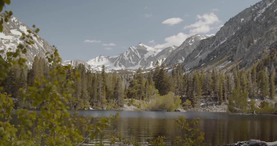 The lake leads to a forest by the mountain