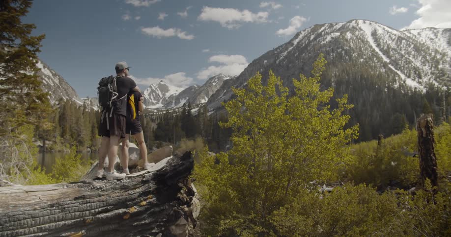 Man and woman stand on a large log and look out at mountains