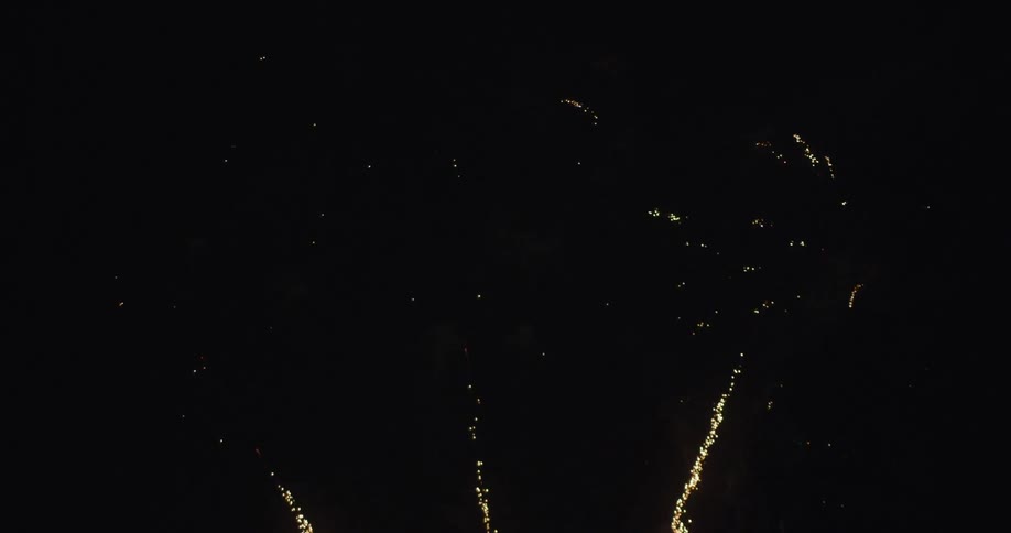 The fireworks fill the dark sky
