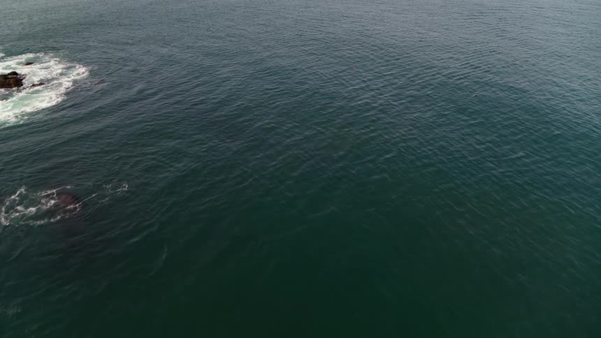 Water ripples on an ocean