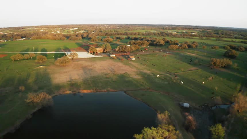 Trees and ponds in fields