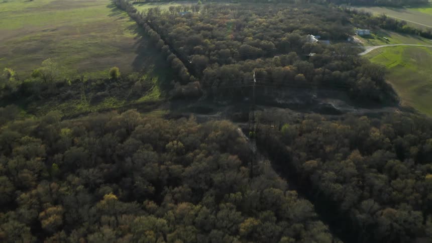 The fields are full of many trees