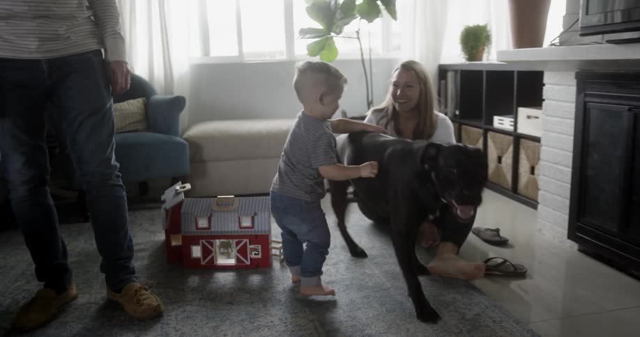 Kids playing at home with their parents and dog