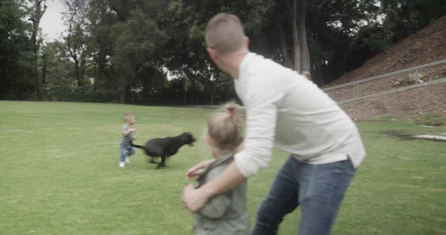 Man throws a frisbee with his kids and a black dog retrieves it