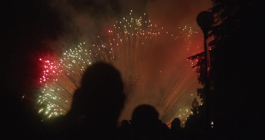 Colorful fireworks exploding in the sky