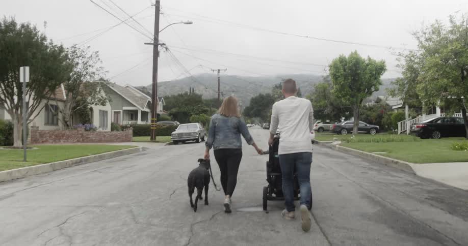 Man and woman hold hands while pushing a stroller and walking a dog