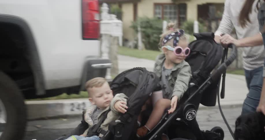Children are petting dog while being pushed in stroller