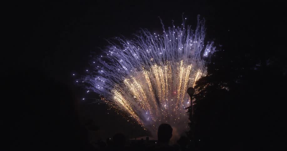 Purple and Amber Fireworks in the night sky