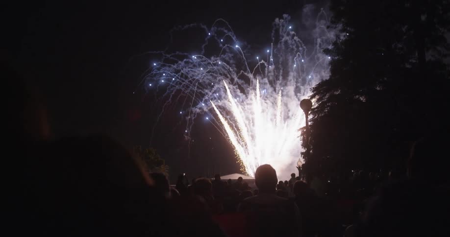 A crowd are watching fireworks go off at night