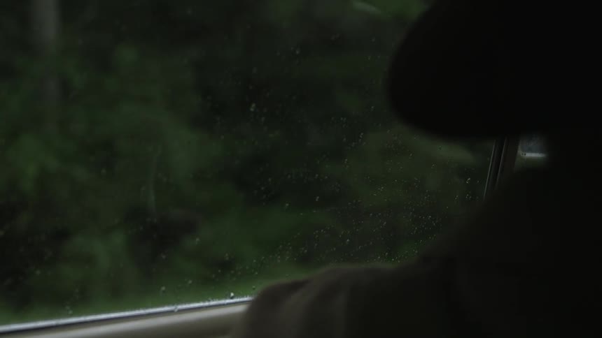 Trees are seen through the window of a moving car