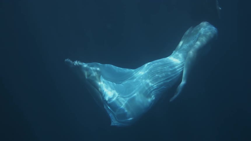 A woman wearing a dress swims down and then surfaces