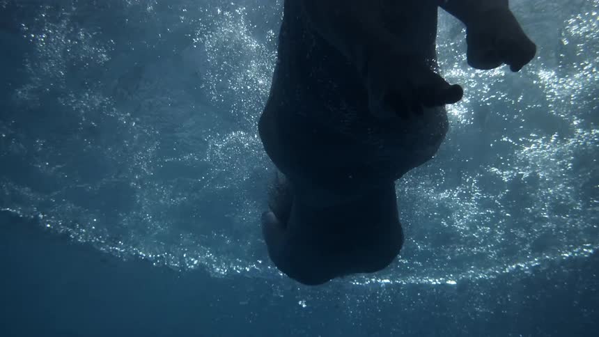 A woman dives into the water