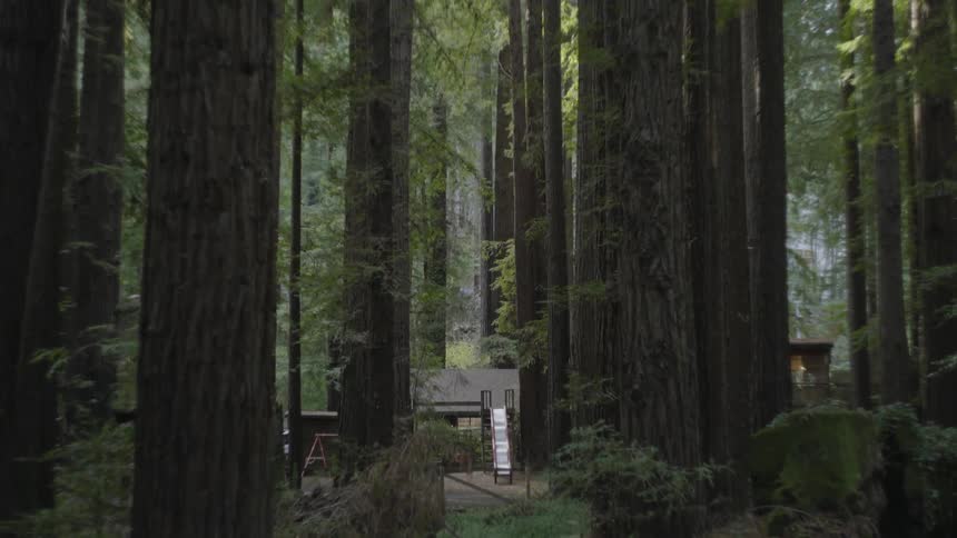 A playground in a forest