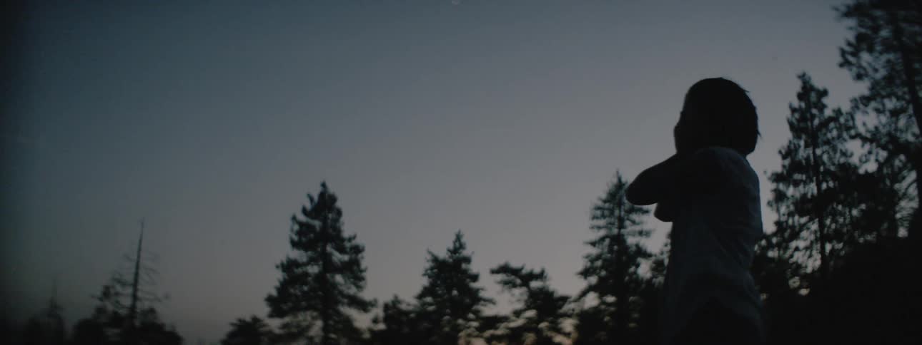 A woman stands outside at dusk