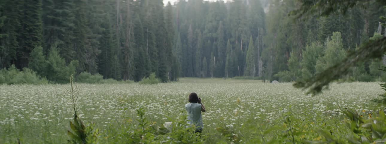 Woman Taking Pictures In Forest