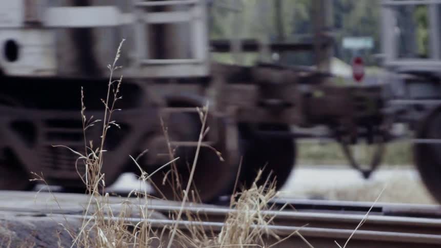 A train passes across the street