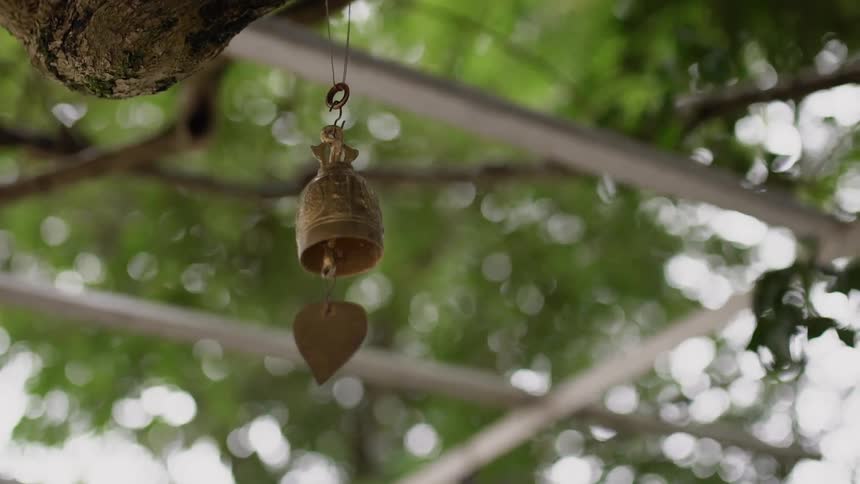 A bell hangs from a tree branch
