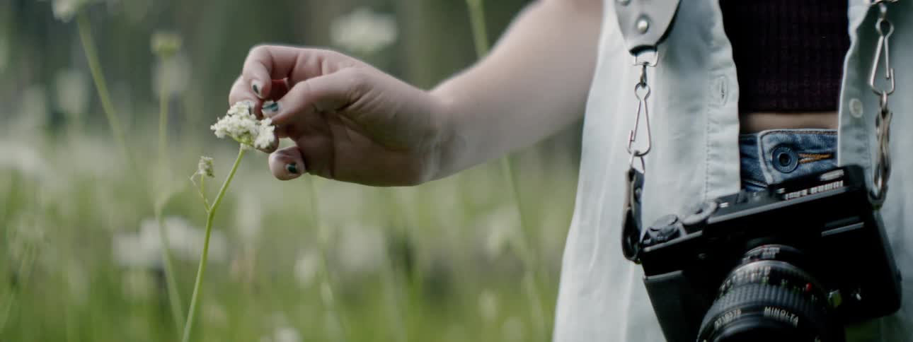 A photographer touches a flower in a meadow