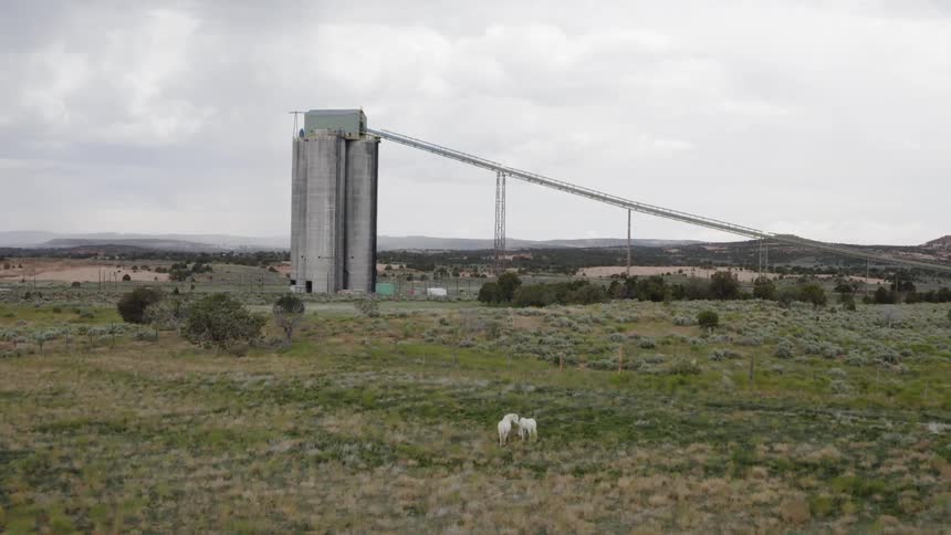 Process Factory with horse in foreground