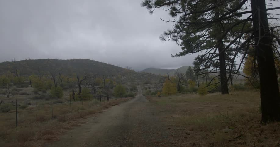 A dirt road with brush and trees along the sides and cloud covered mountains in the distance