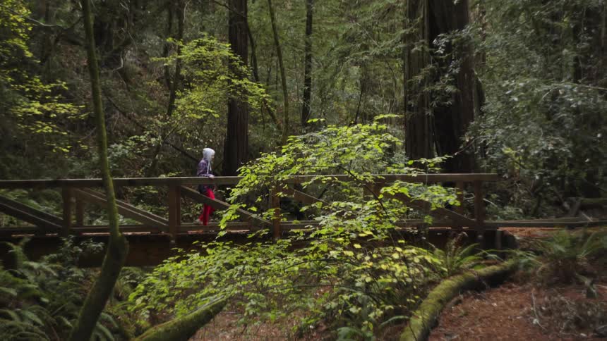 A person crosses a bridge in the forest
