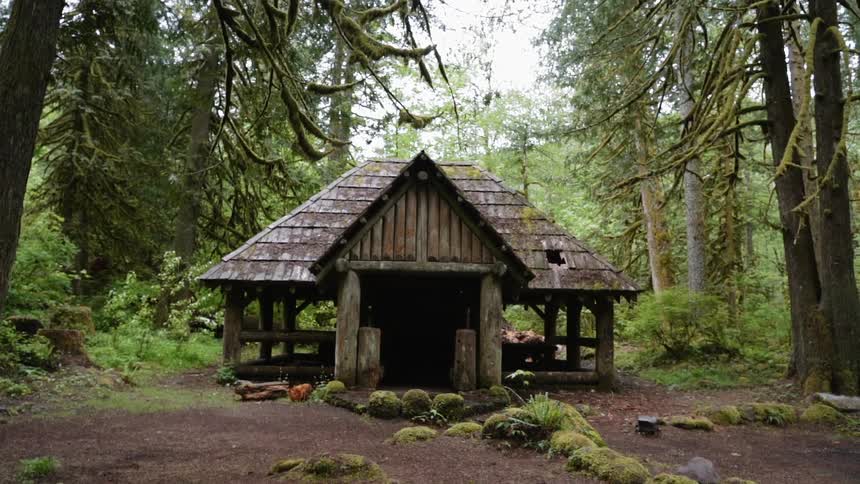 Single building sits in the forest