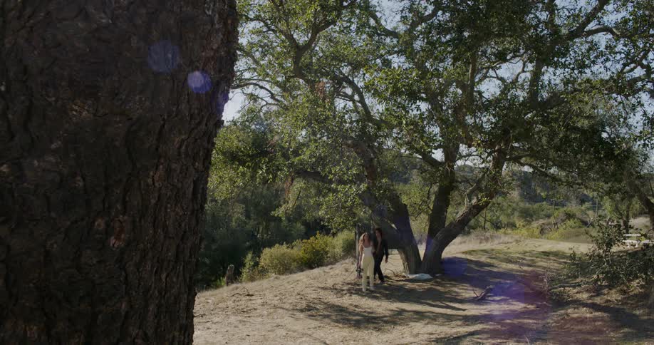 A man and woman hold hands on a hike