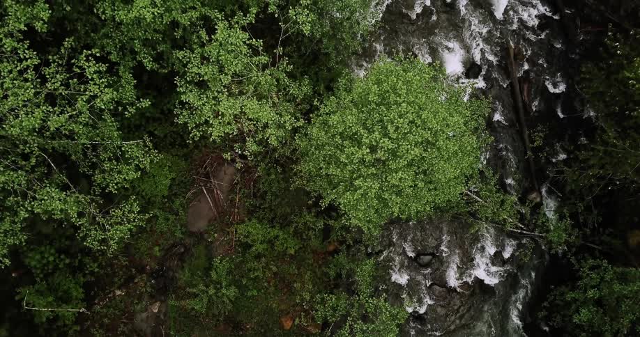 A river flows over and around rocks
