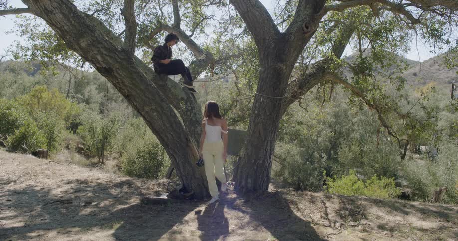 Two people walk over and sit by a tree