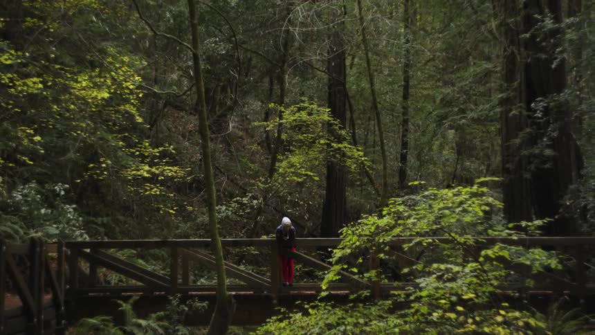 A person crosses a wood bridge in the forest