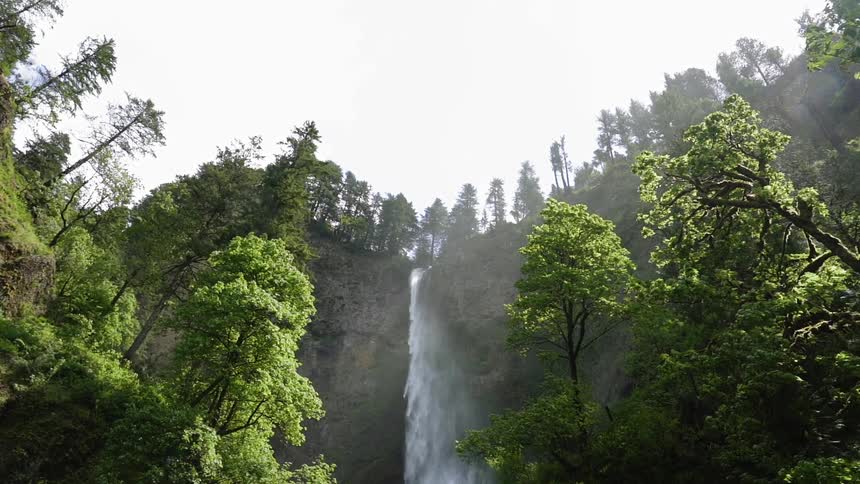 Waterfall surrounded by trees on a sunny day